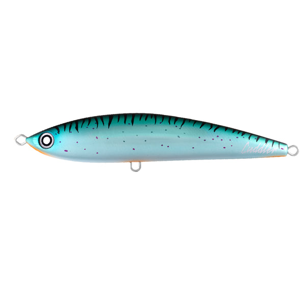 Daiwa Saltiga Cuddler 185F - Fergo's Tackle World