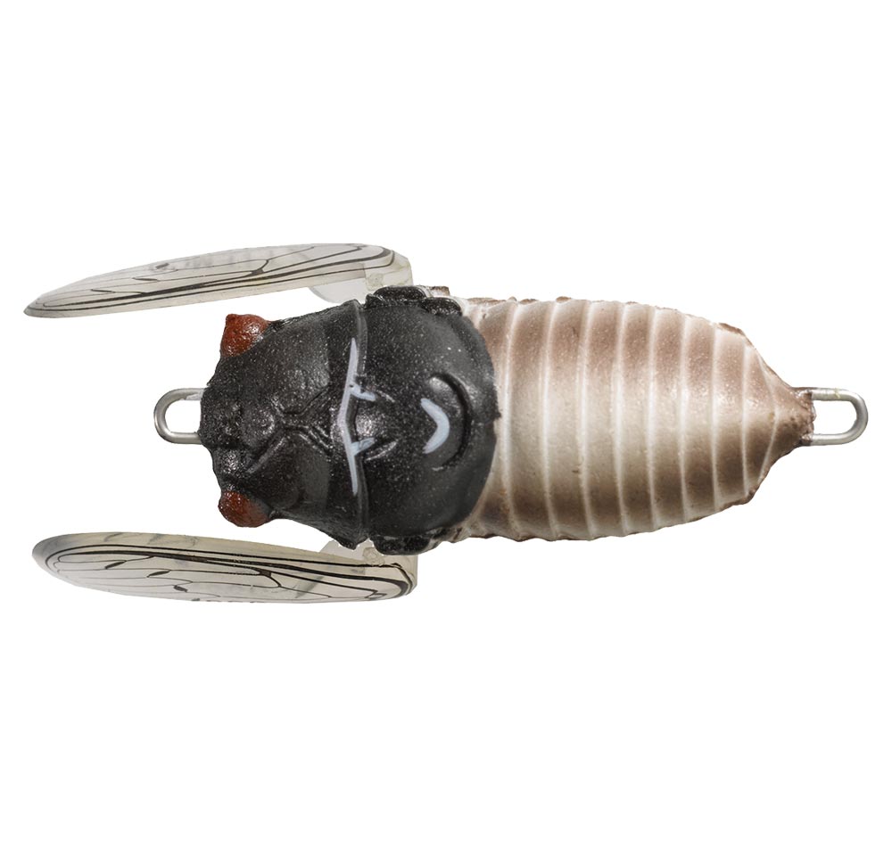 Tiemco 40mm Soft Shell Cicada Lure Col 130