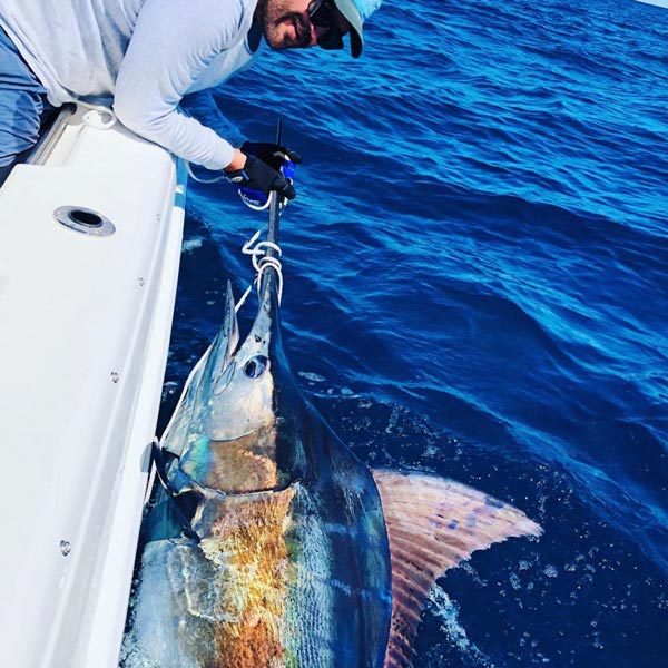 Sydney & Wollongong Fishing Report Fergo's Tackle World