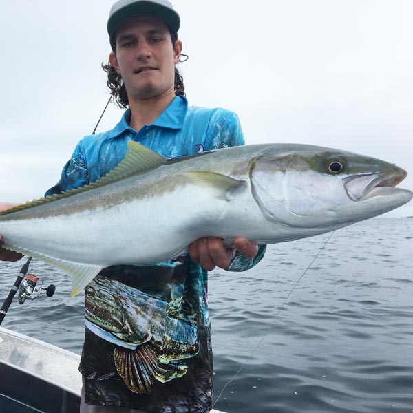 Sydney & Wollongong Fishing Report Fergo's Tackle World