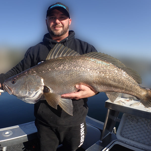 Sydney & Wollongong Fishing Report
