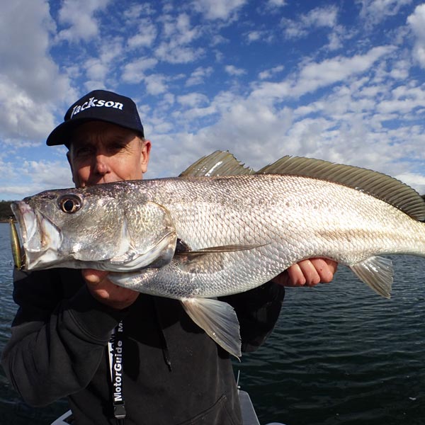 Sydney & Wollongong Fishing Report