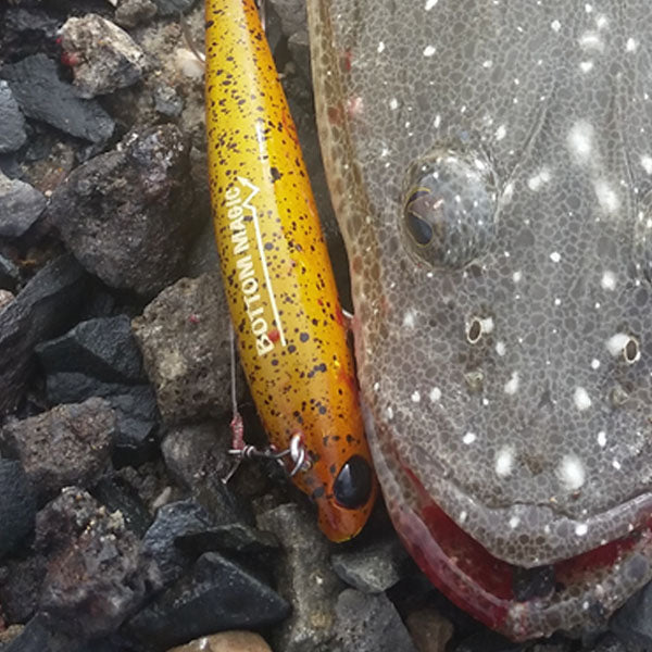 Sydney & Wollongong Fishing Report