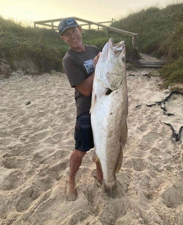 Sydney & Wollongong Fishing Report 20/10/20 Fergo's Tackle World