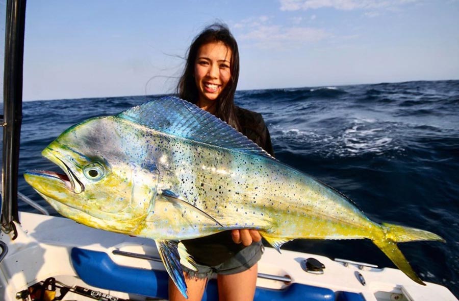 Sydney & Wollongong Fishing Report
