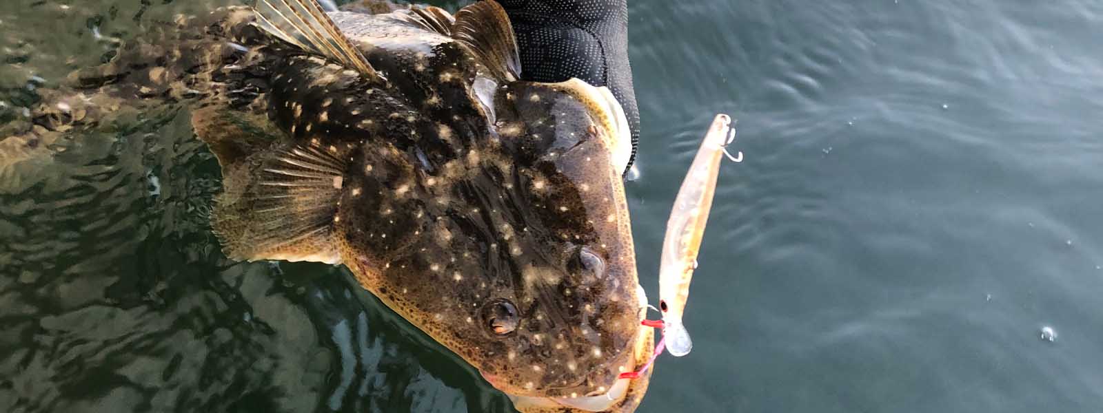 Bait, Burley & Attractants