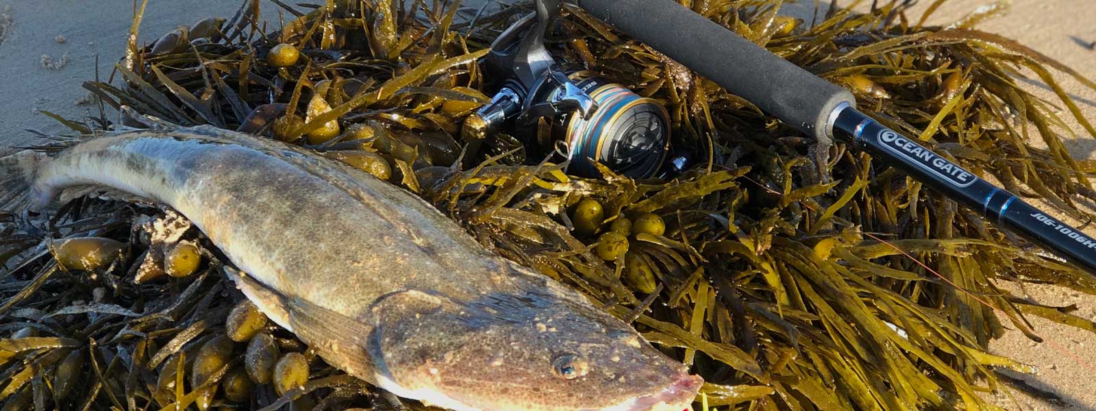 Fishing Rod and Reel Combos