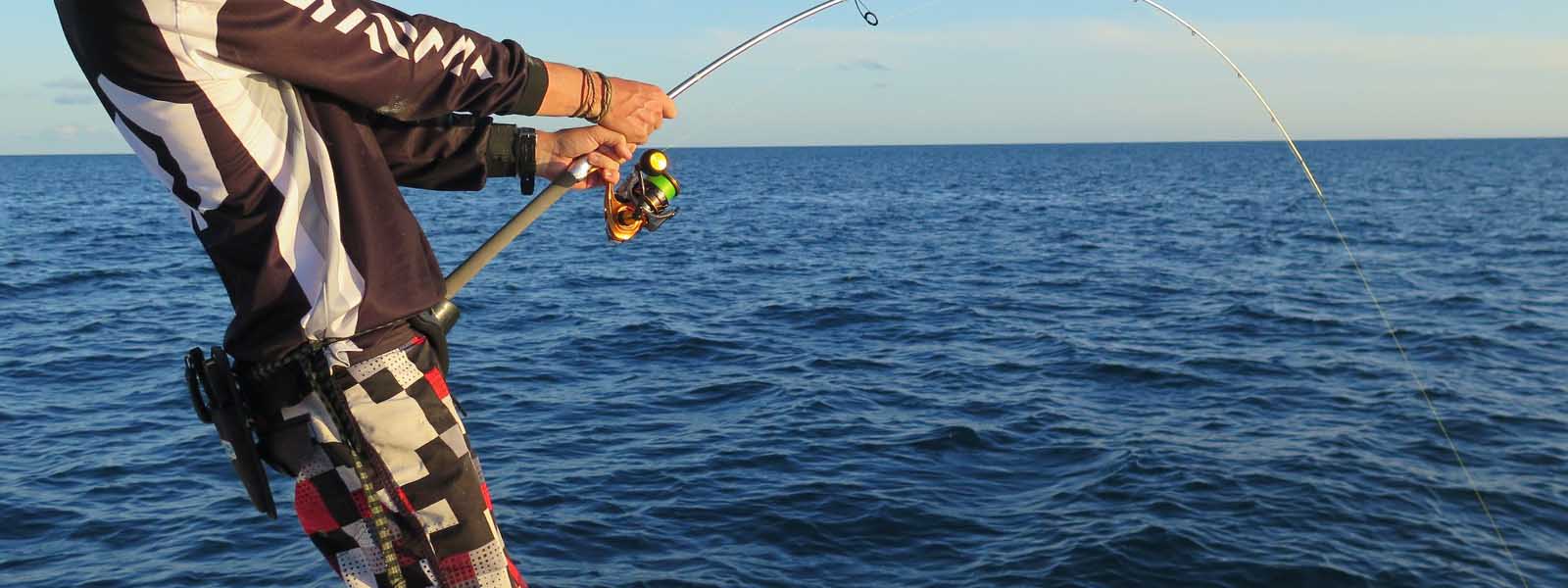 Gimbal Belts & Harnesses