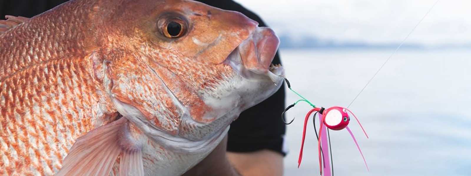 Inchiku & Kabura Jigs