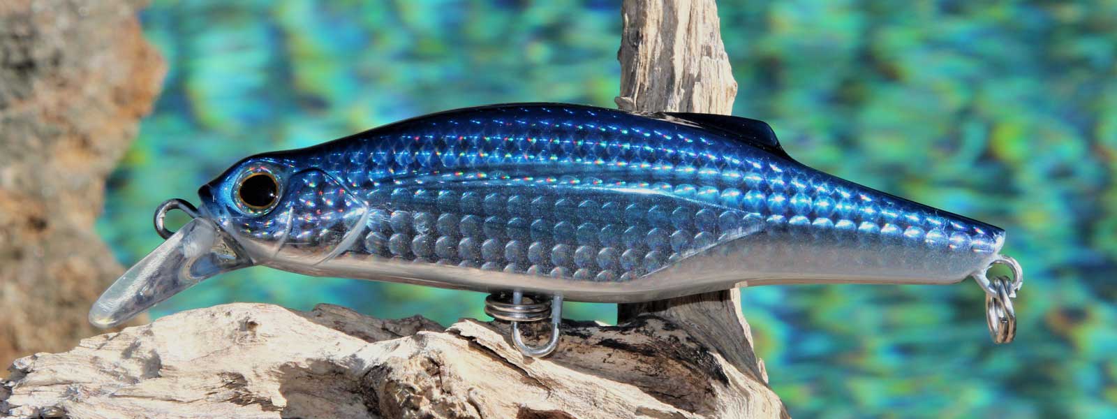 Jackson Lures Banner Image