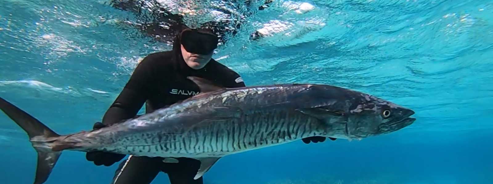 Other Dive Accessories