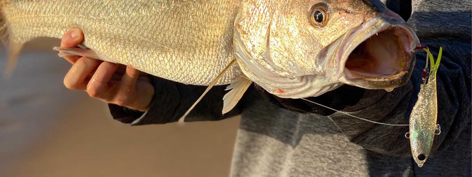 Soft Vibes & Soft Plastic Lures