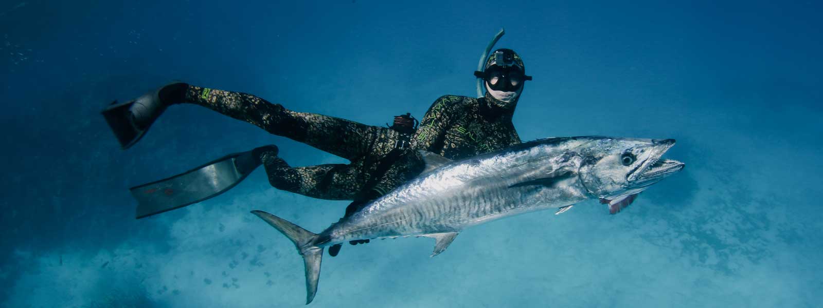 Spearfishing and Diving Gear