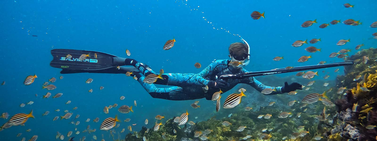 Spearfisherman underwater with a wetsuit and fins on
