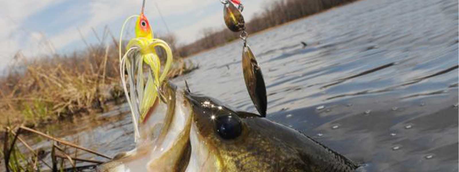Spinnerbaits, Chatterbaits & Spinners