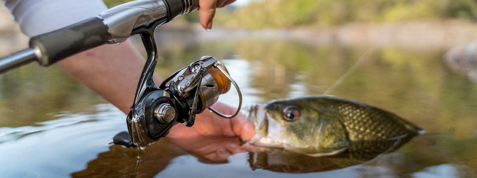 Spinning Rod and Reel Combos