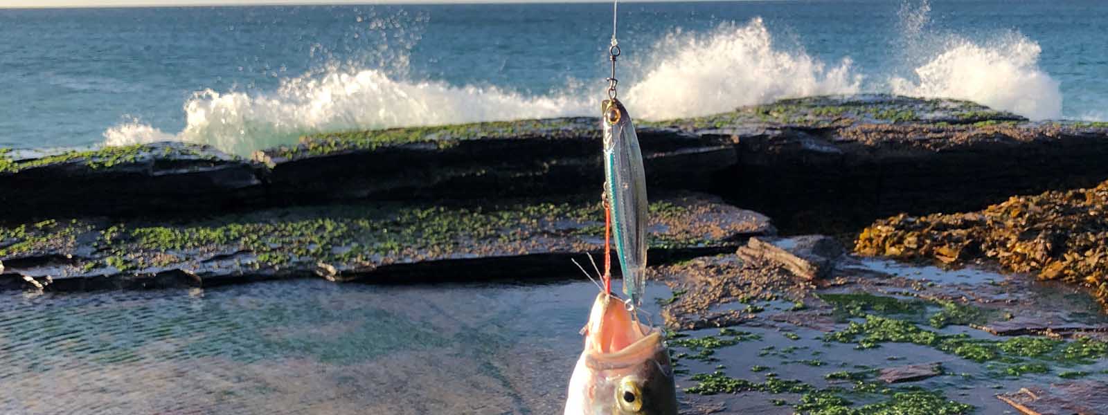 Fishing Swivels, Clips & Rings