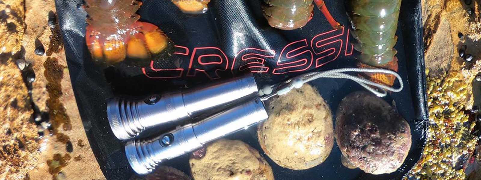 Dive Torches & Batteries