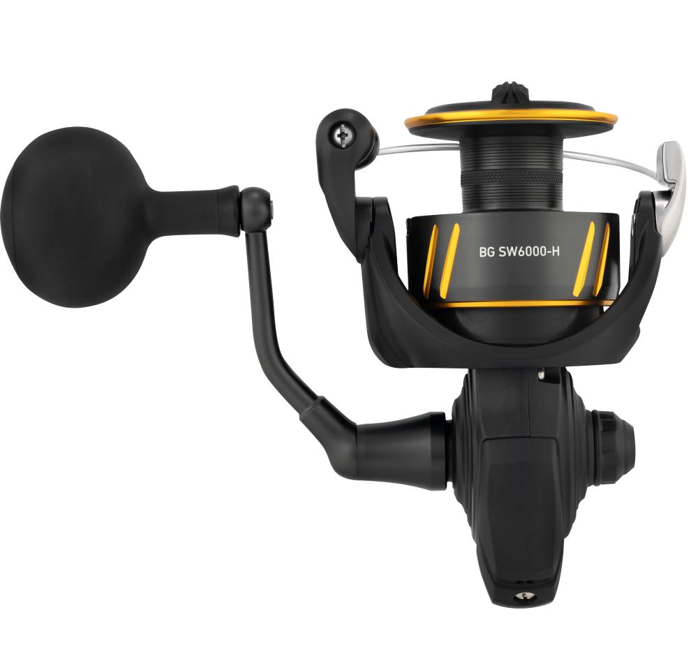 Daiwa BG SW Reel