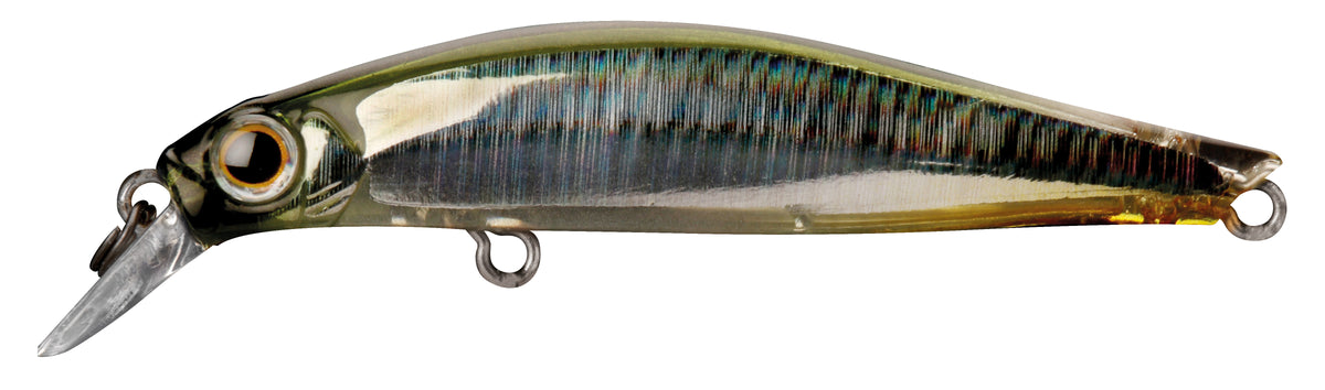 Jackson Artist FR55 Lures
