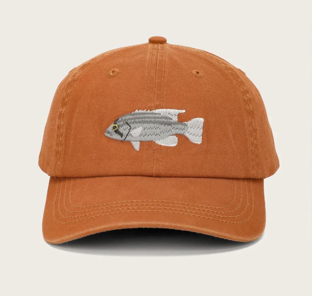 Pallion Point Fish Lids Dhufish