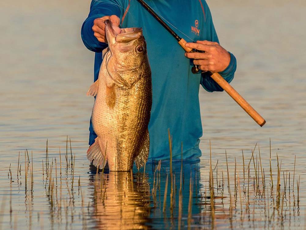 Best Bass Fishing Gear mobile man holding bass out of water