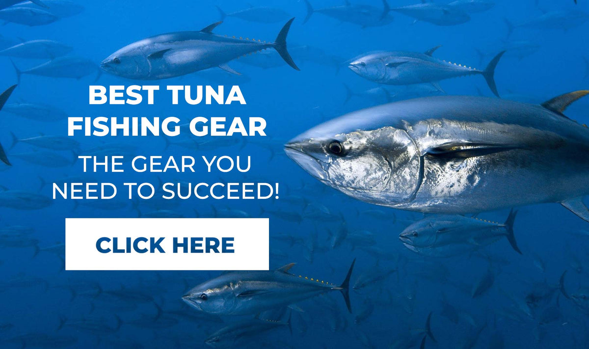 Fergo’s Tackle World Fishing Store Buy Fishing Tackle Online