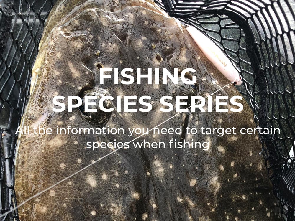 Species Series - Fishing Blog