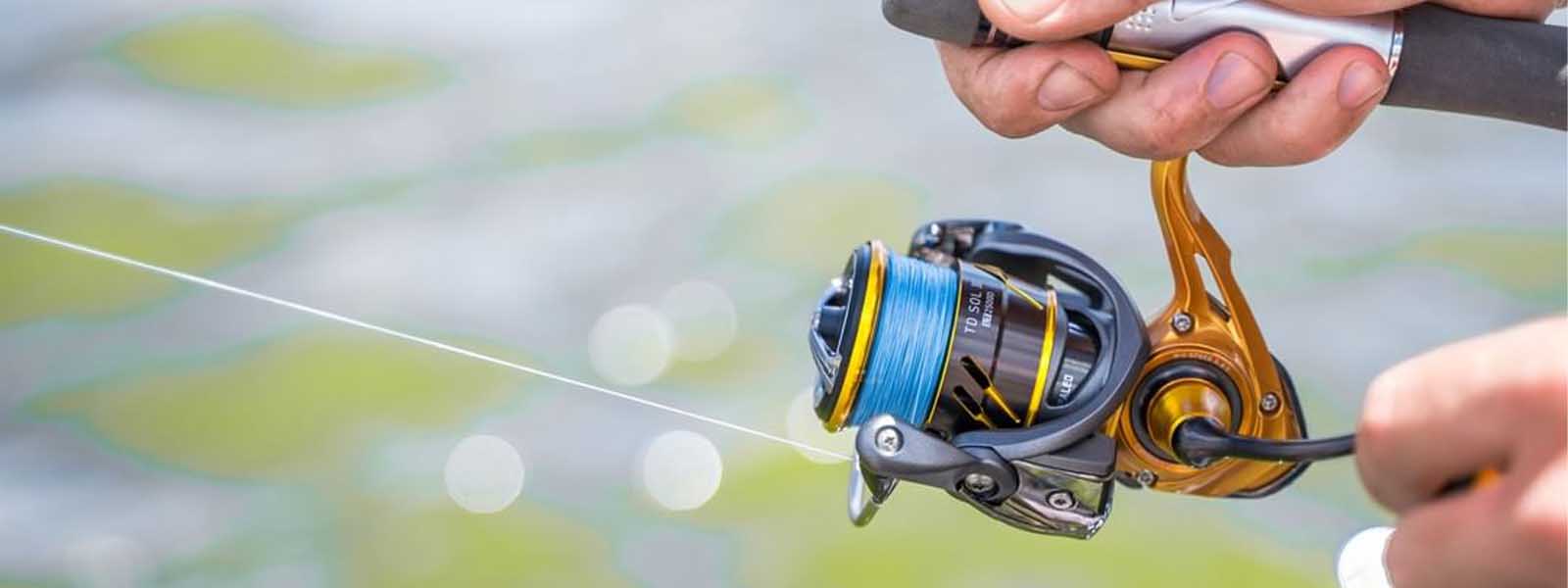 Fergo's Tackle World Wollongong NSW, 58% OFF
