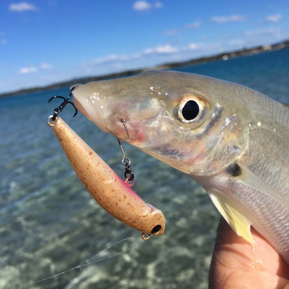 Jackson Bottom Magic Lures - Fergo's Tackle World