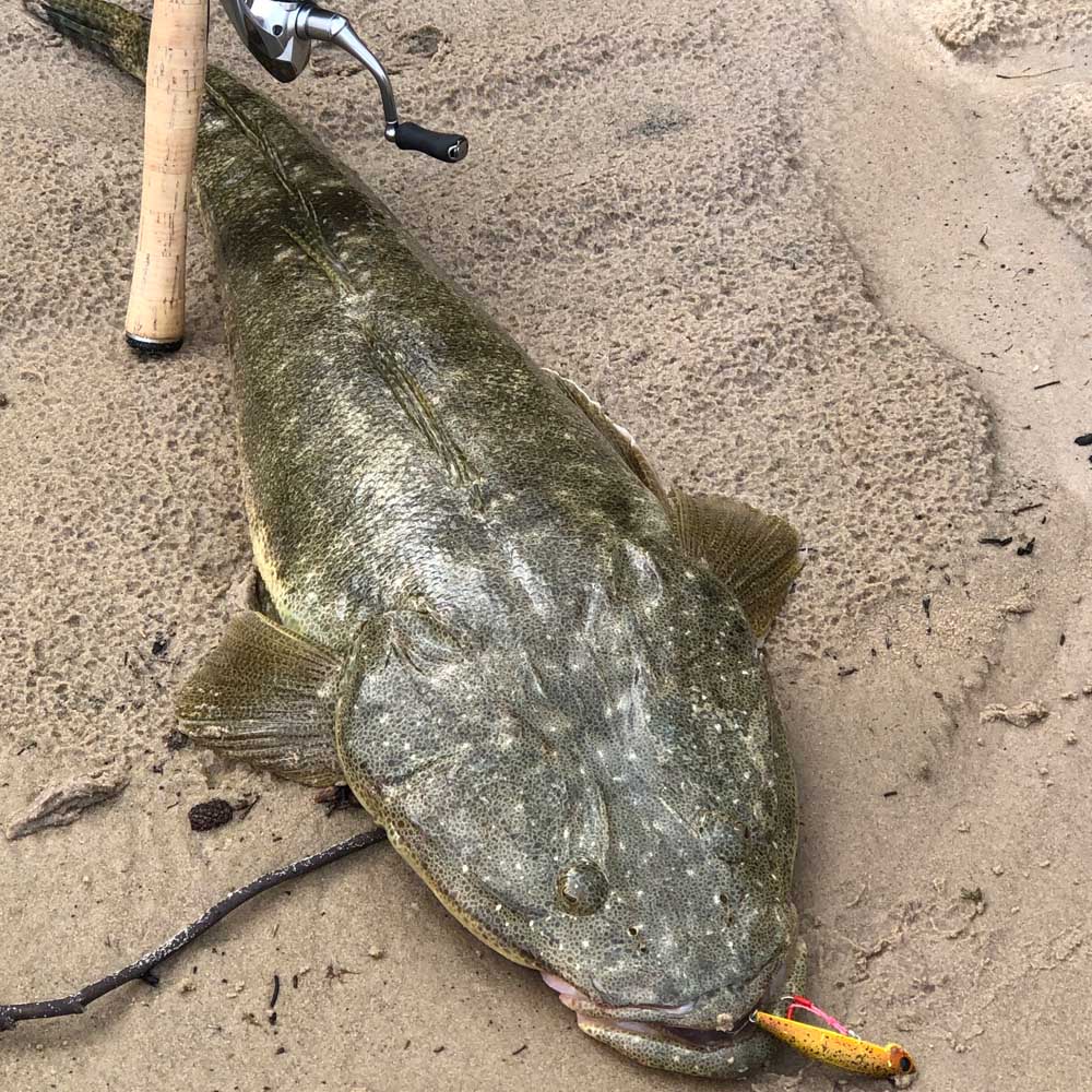 Jackson Bottom Magic With Assist Hooks and Flathead