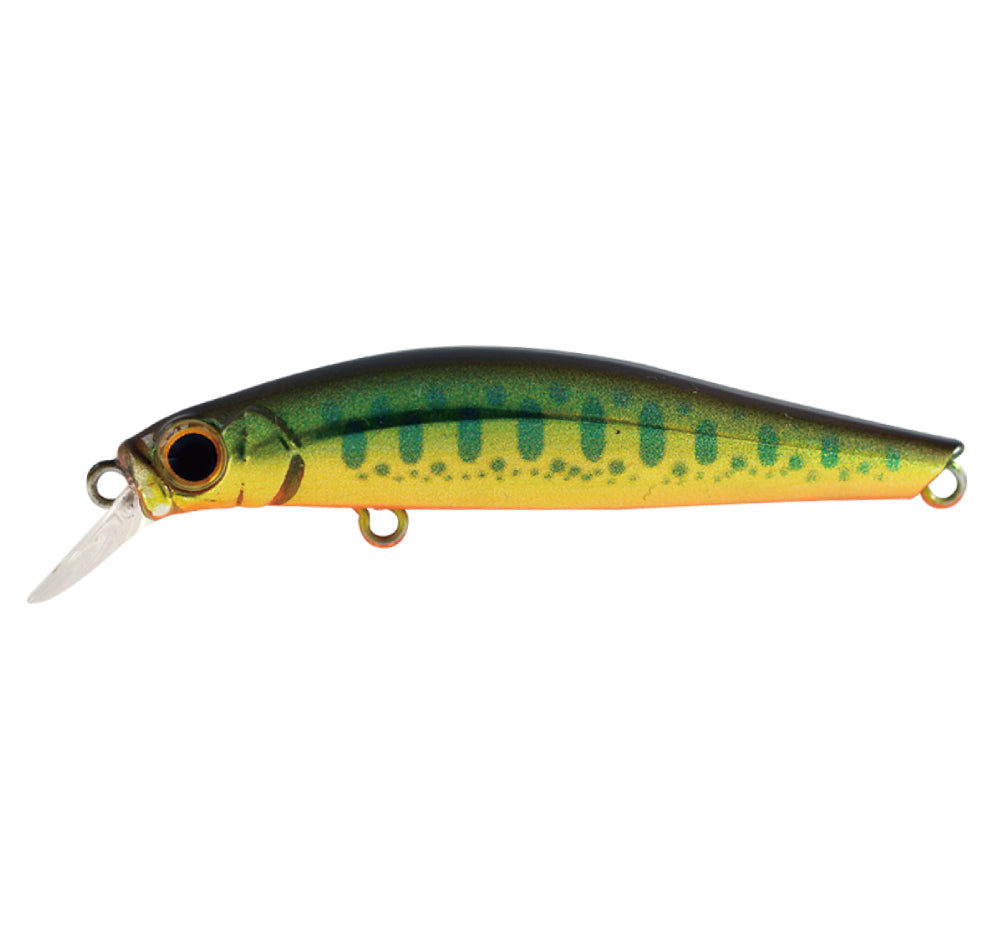 Jackson Artist FR55 Lures