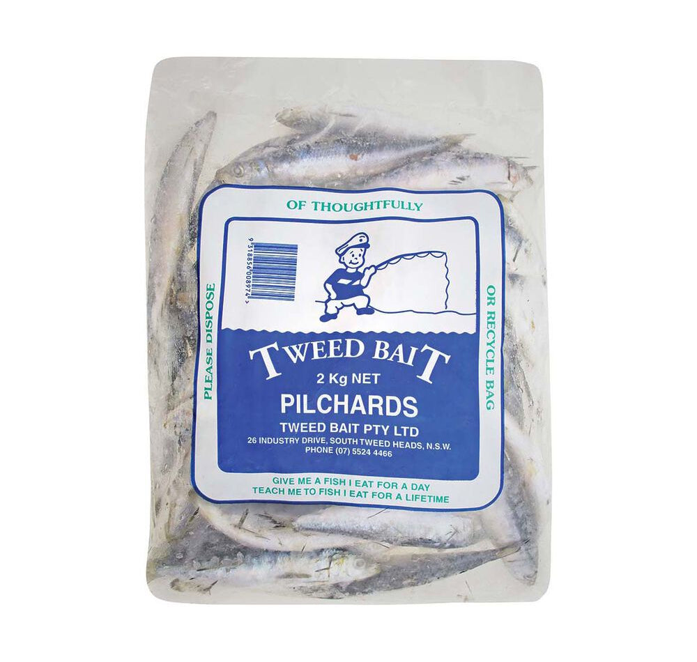 Tweed Bait IQF Pilchards