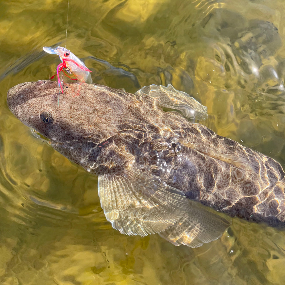 Shinto Pro Pimped Micro Assist Hooks with flathead in water