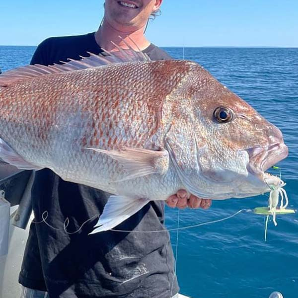 Snapper with a Vexed Dhu Inchiku lure in its mouth