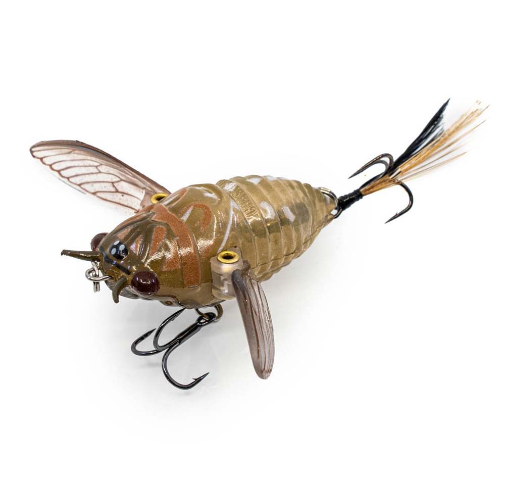 Chasebaits Ripple Cicada Lure - Fergo's Tackle World
