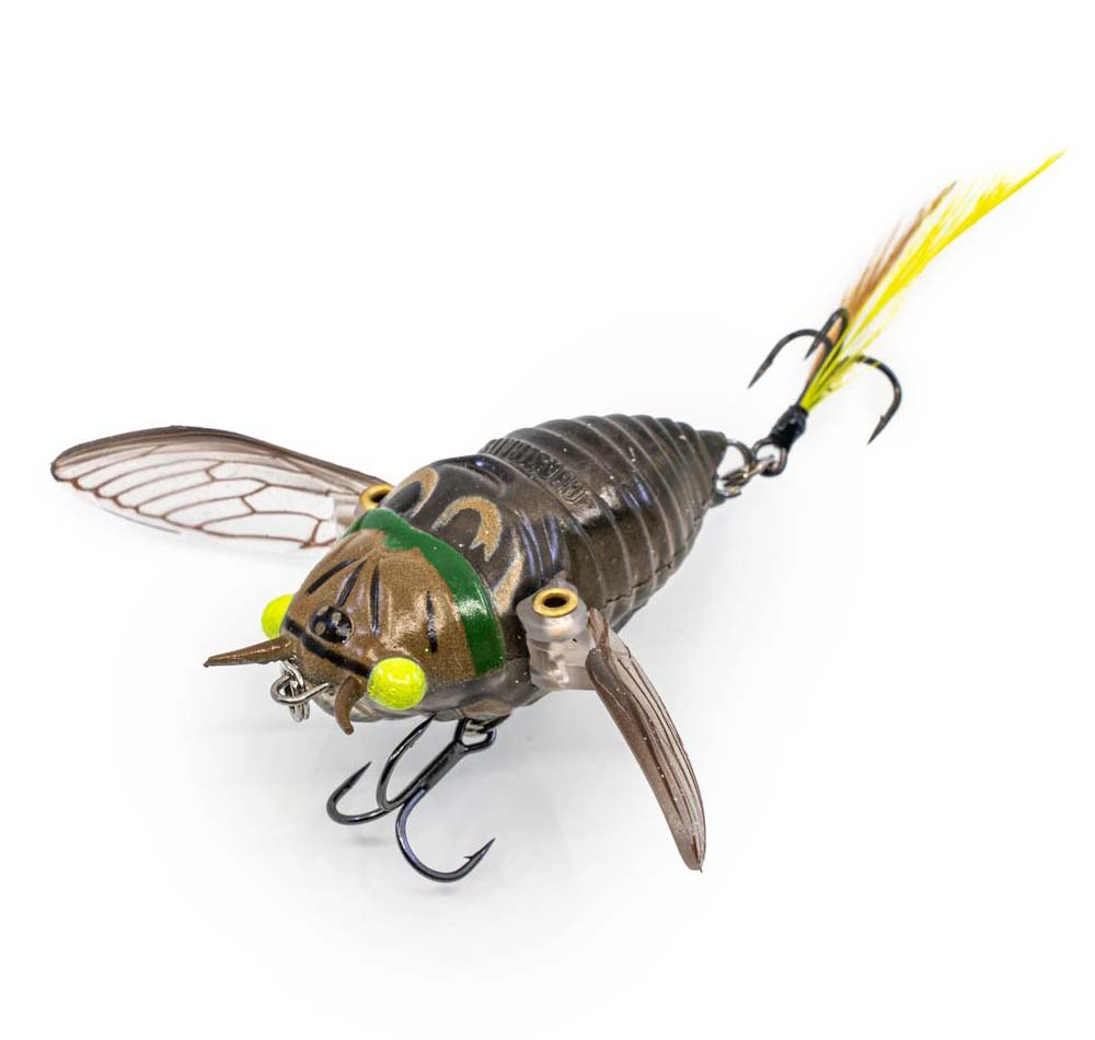 Chasebaits Ripple Cicada Lure 06 Bright Eyes