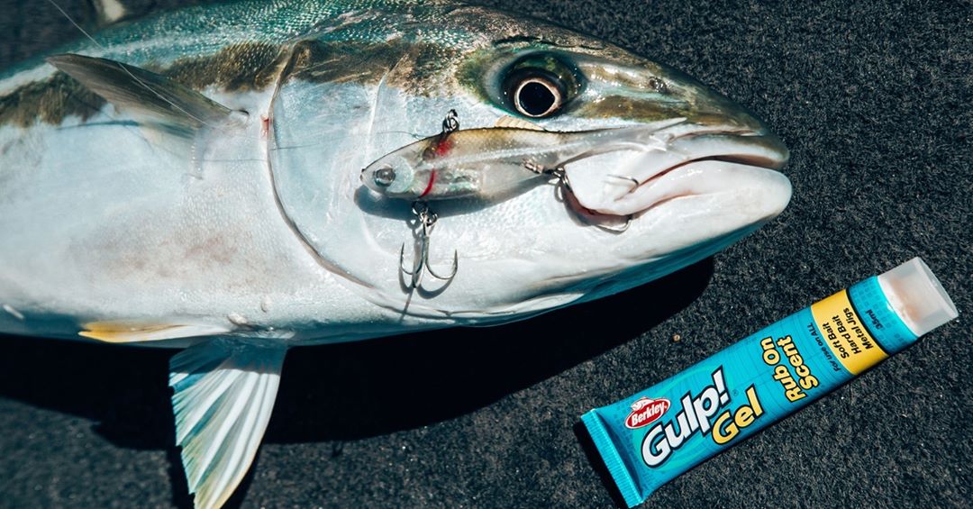 https://fergostackleworld.com.au/cdn/shop/products/gulp-gel-rub-on-scent-kingfish-photo_1200x.jpg?v=1600126409